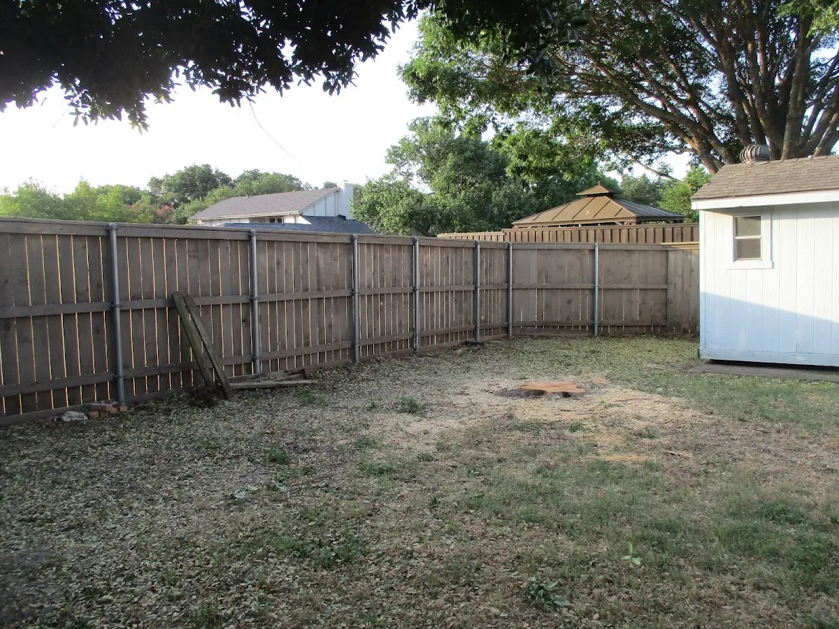 Cleared yard after professional tree removal in Earlton